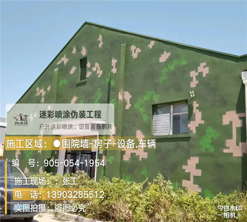 海南外墙数码迷彩漆施工报价清单(100㎡标准墙面测算)